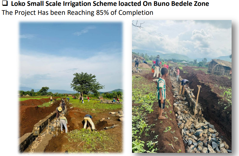 For Your Dream Project